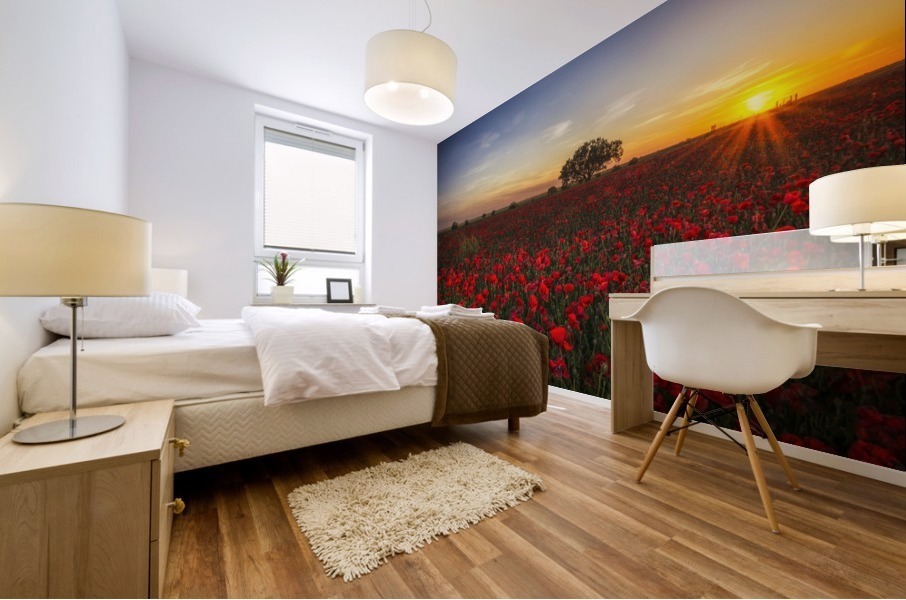 horizon plant sunrise Mural print