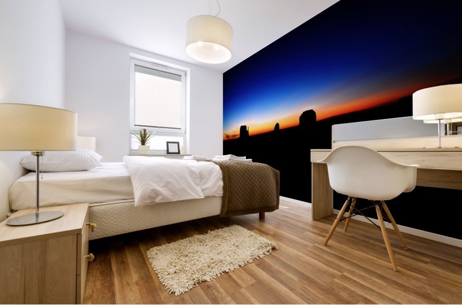 horizon silhouette light Mural print