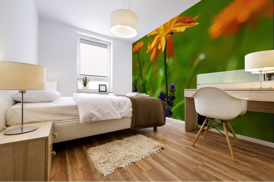 plant field meadow Mural print