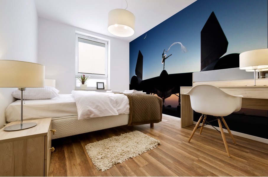 Area 71 Power and Grace Mural print