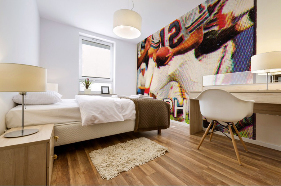 1978 Miami Dolphins vs. Dallas Cowboys Ticket Art Mural print