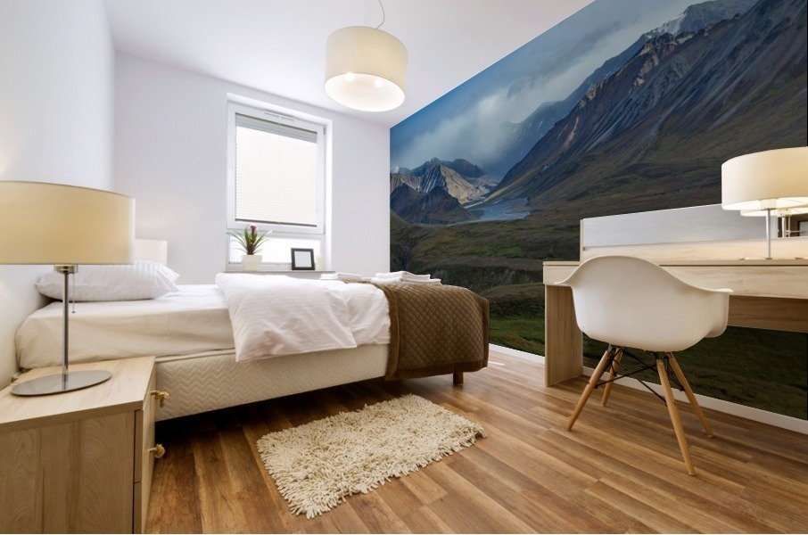 Alaskan Tundra Mural print