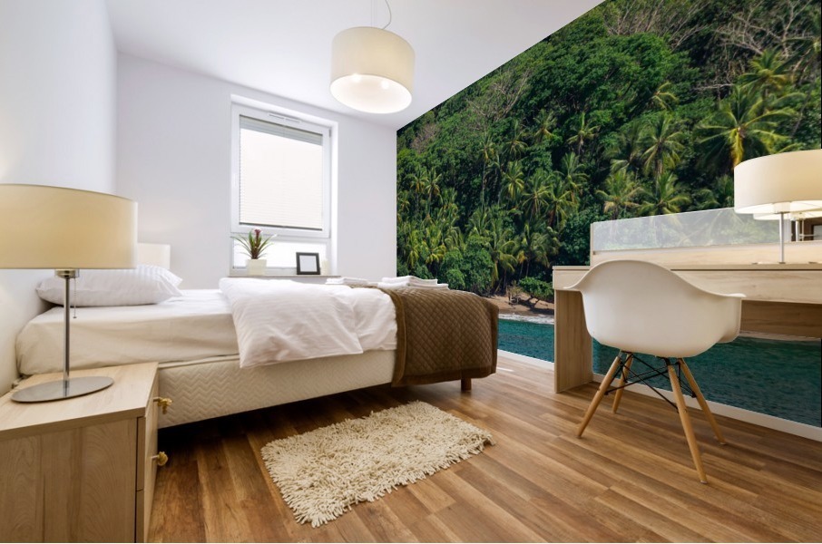 Costa Rica Beach Mural print