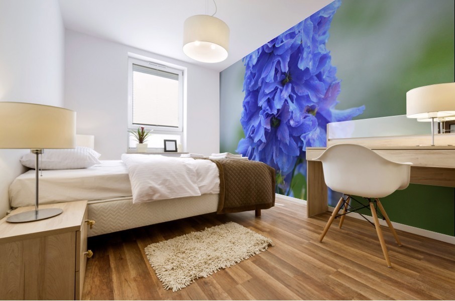 Blue Delphinium - Pacific Giant Mural print