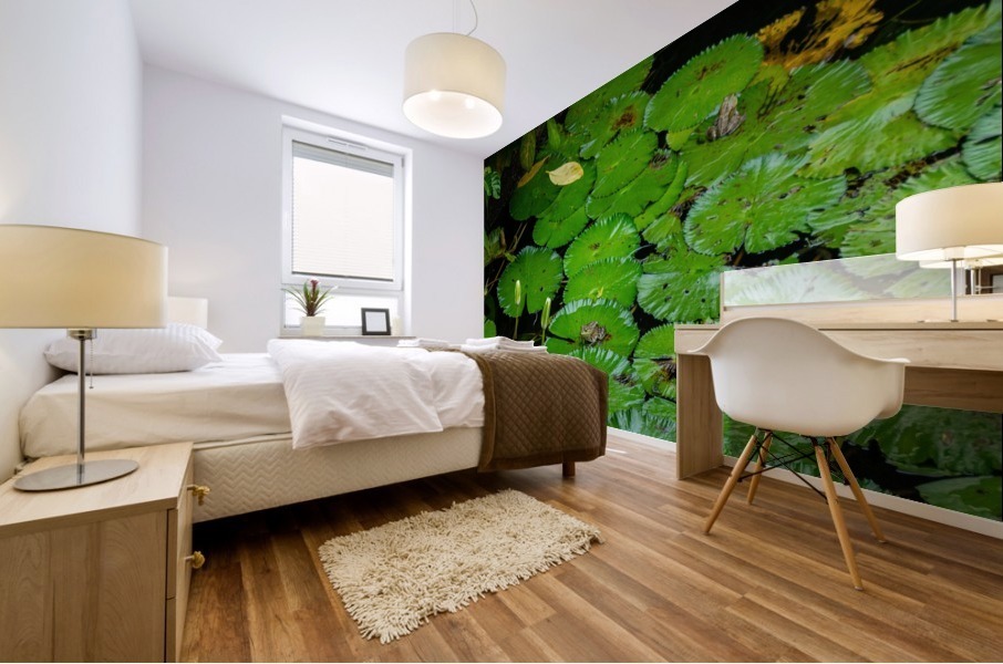 Ribbits Mural print