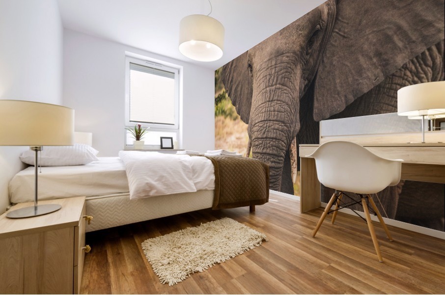 Elephant Mural print