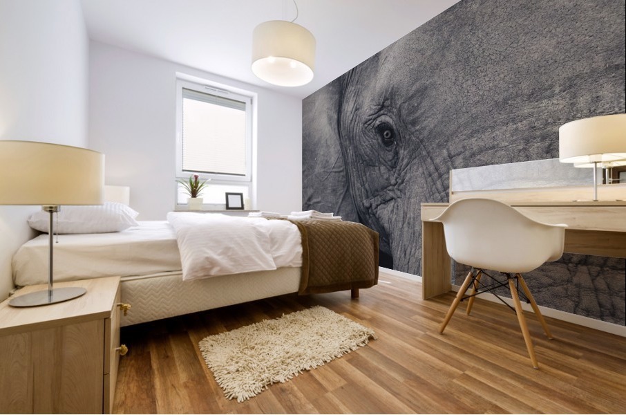 Elephant Eyes Mural print