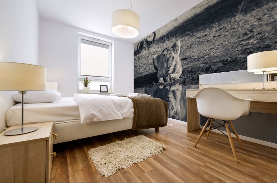 Lioness at the Watering Hole Mural print