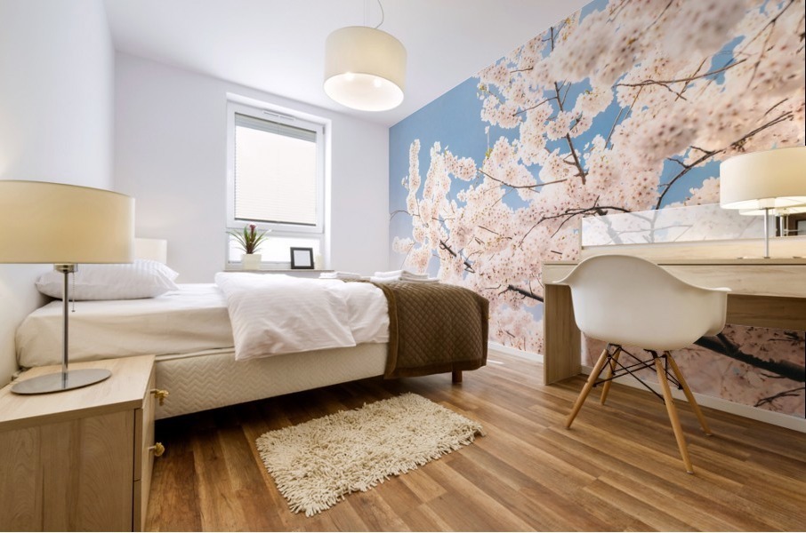 Cherry Blossoms DC Mural print