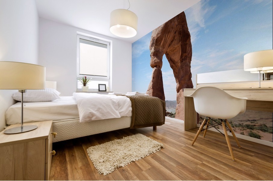 Delicate Arch Utah - on Film Mural print