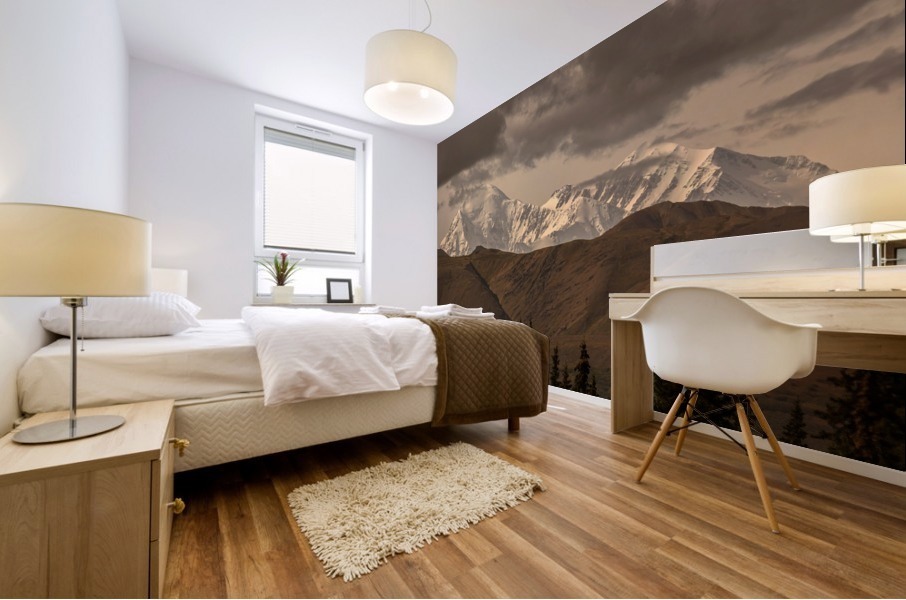 Mount Denali South Face Mural print