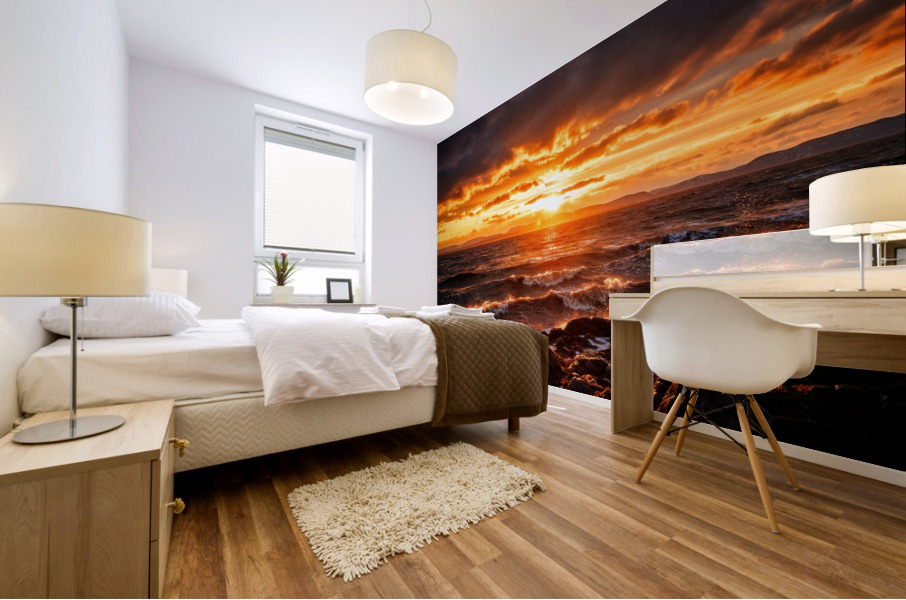PNPG2989  HR1 Mural print