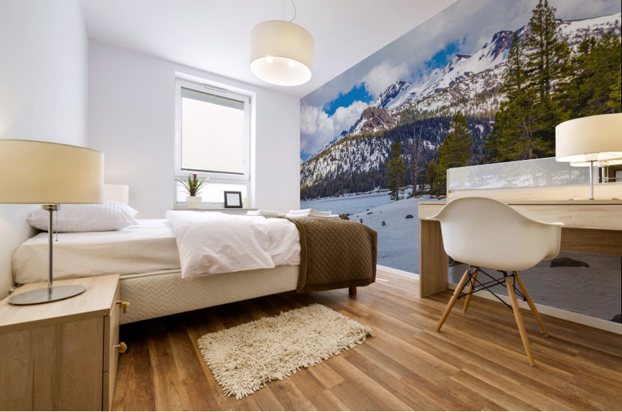 Caples Lake Mural print
