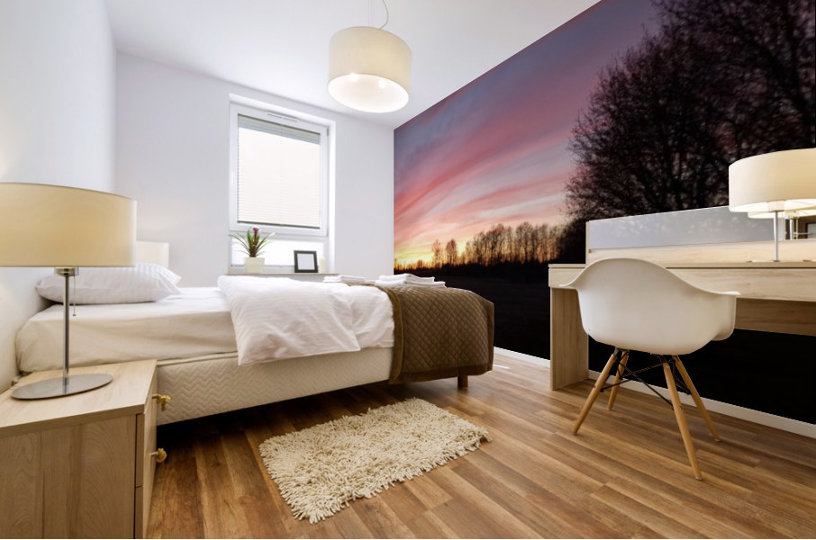 20190504_202816 Mural print