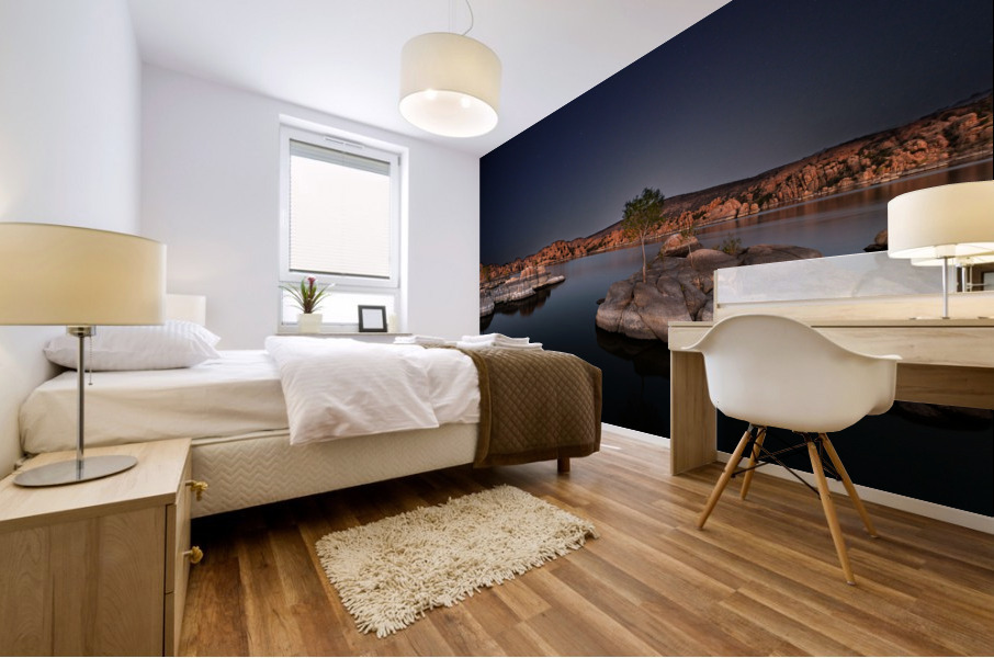 Midnight Fantasy Mural print