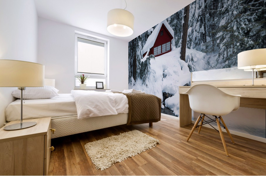 Franklin Falls Snow Mural print