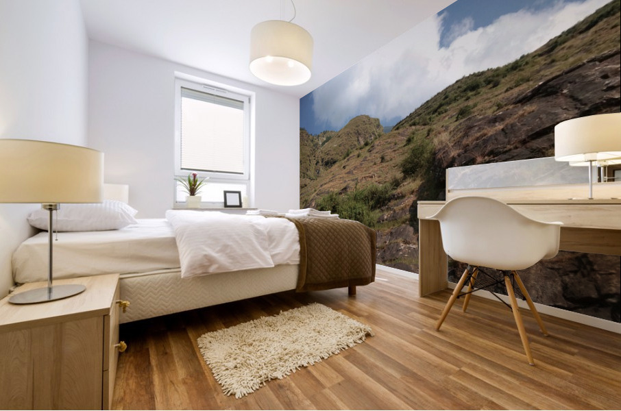 IMG_20201004_100042 Mural print