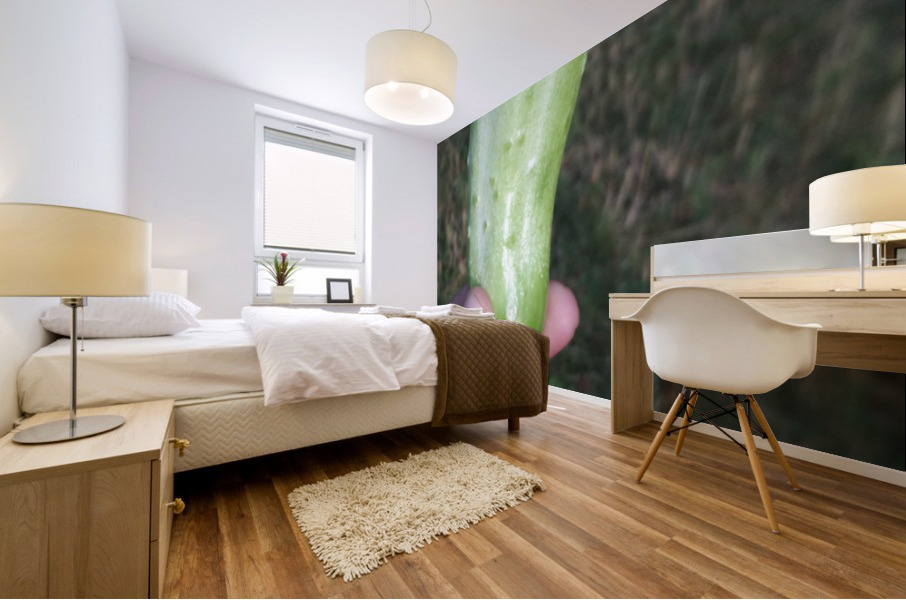 IMG_20200918_165303 Mural print