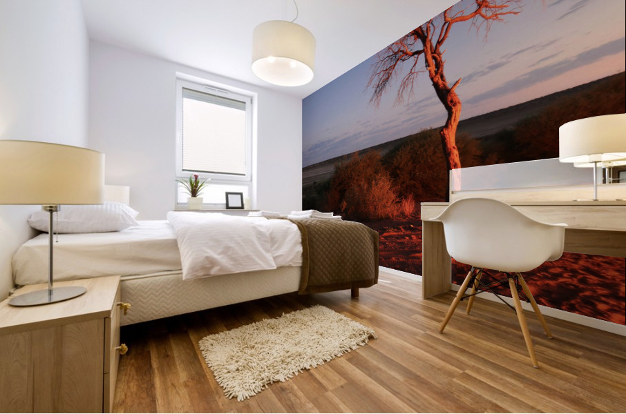 AdriaanPrinsloo 7215 Mural print