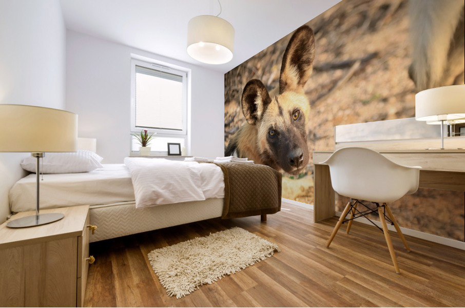 AdriaanPrinsloo 9022 Mural print