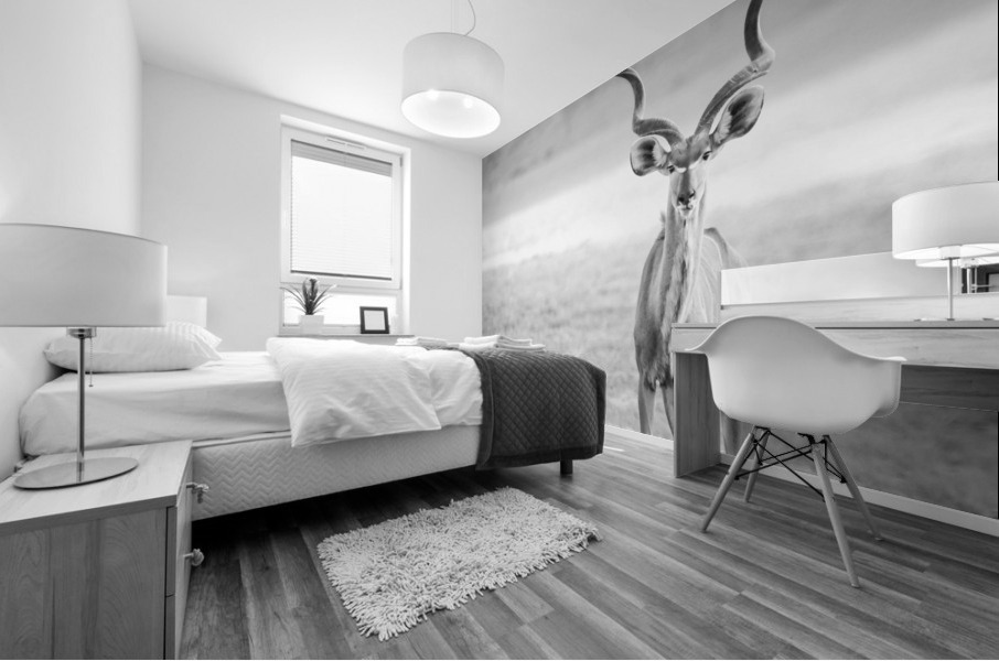 AdriaanPrinsloo 6071 Mural print