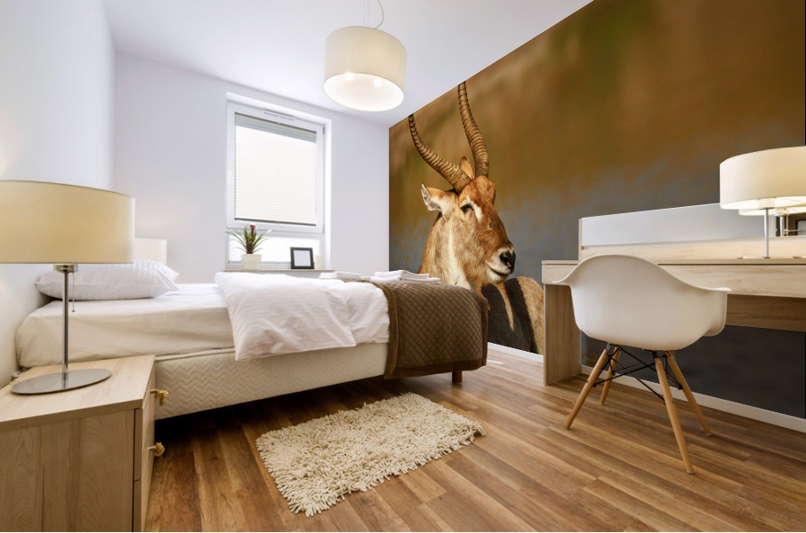 AdriaanPrinsloo 9455 Mural print