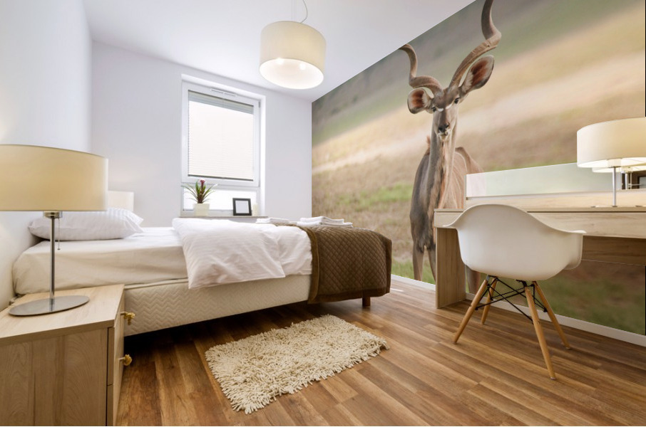 AdriaanPrinsloo 6071 2 Mural print