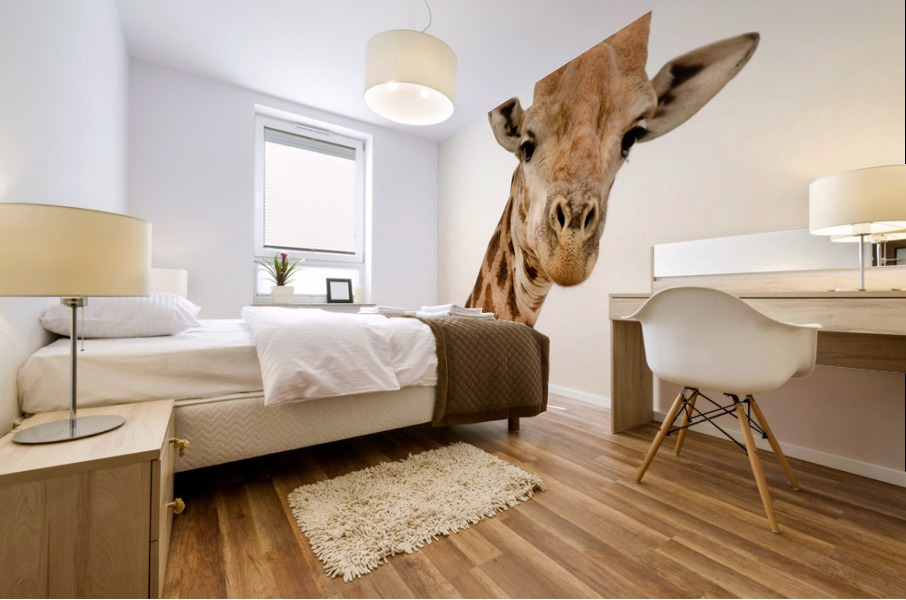 AdriaanPrinsloo 5035 Mural print