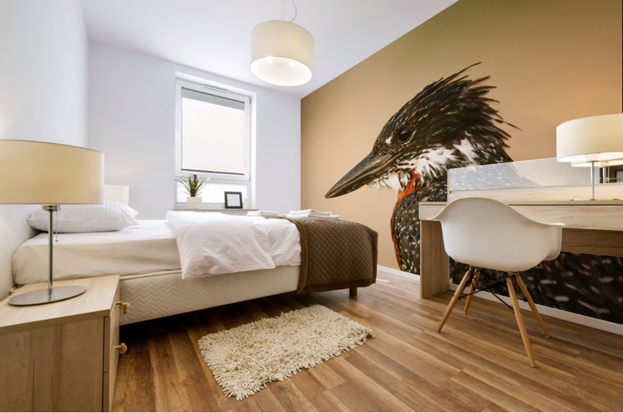 AdriaanPrinsloo 6648 Mural print