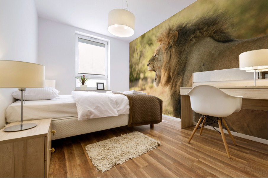 AdriaanPrinsloo 6942 Mural print