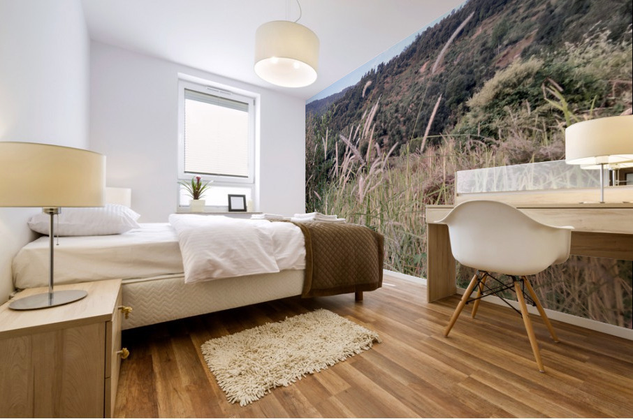 IMG_20201007_173931 Mural print