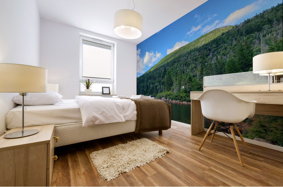 Lake on Top of A Mountain Mural print