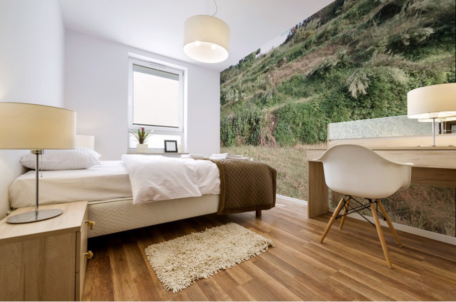 IMG_20200918_162354 Mural print