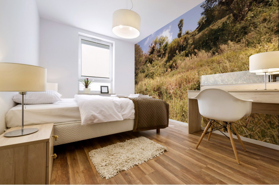 IMG_20201008_113828 Mural print