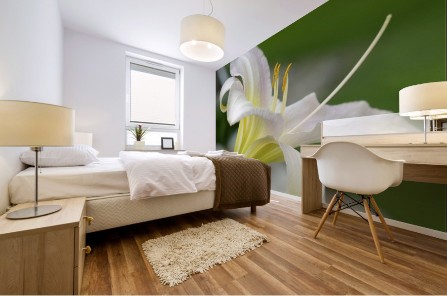 Lily Mural print