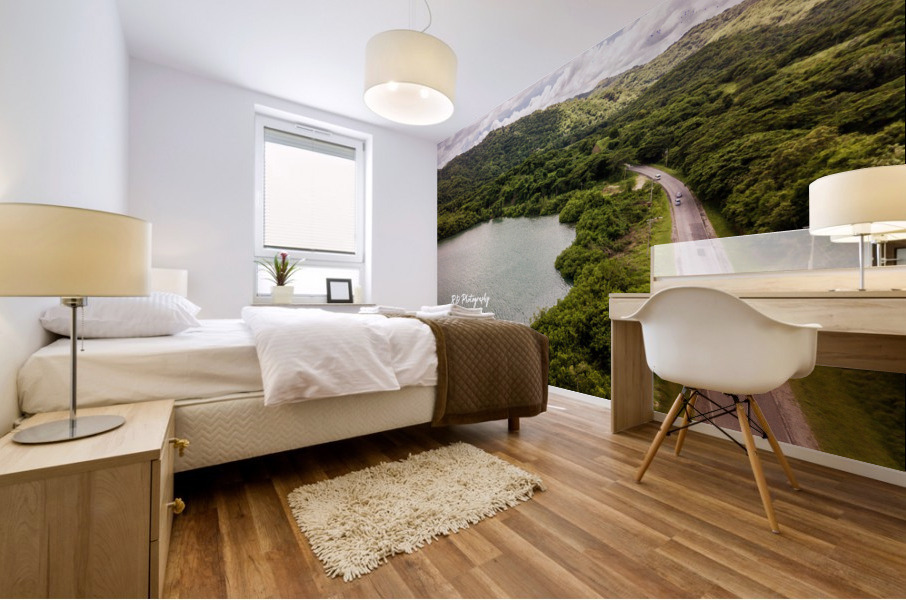 DJI_0133 Mural print