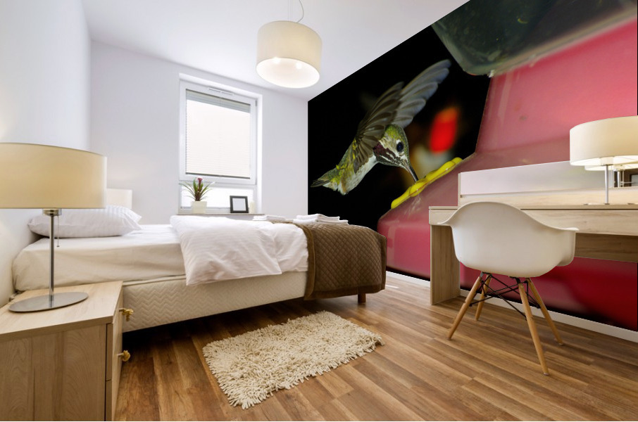 Hummingbird Mural print