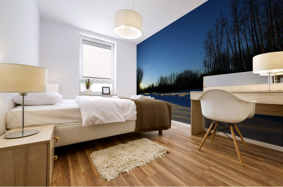 Winter Sunrise Mural print