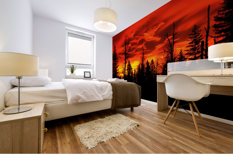 Sunrise Mural print