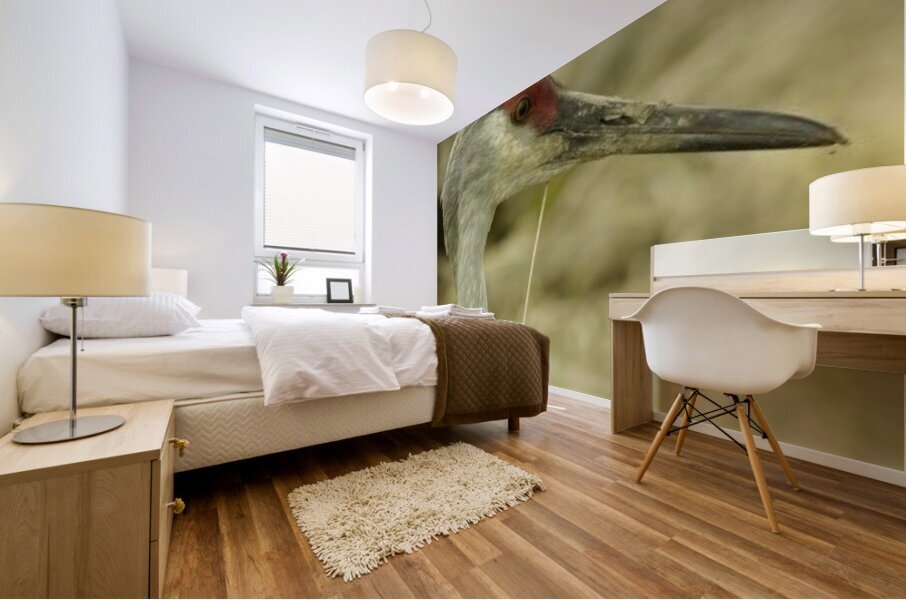 Sandhill Crane Mural print