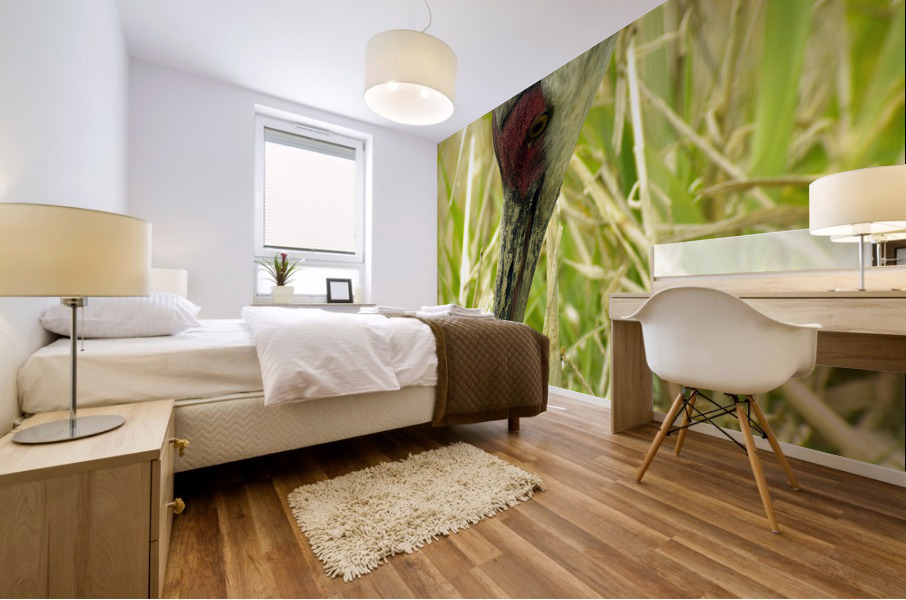 Sandhill Crane Mural print