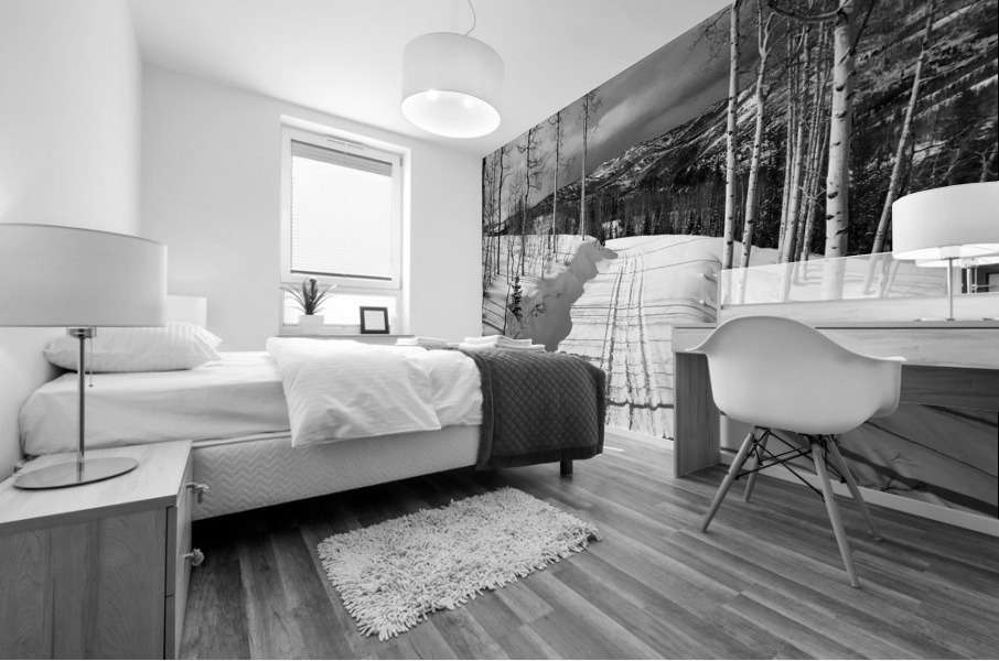 Cat Tracks- Black and White Mural print