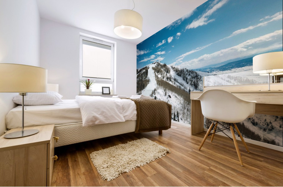 Gondola Mural print