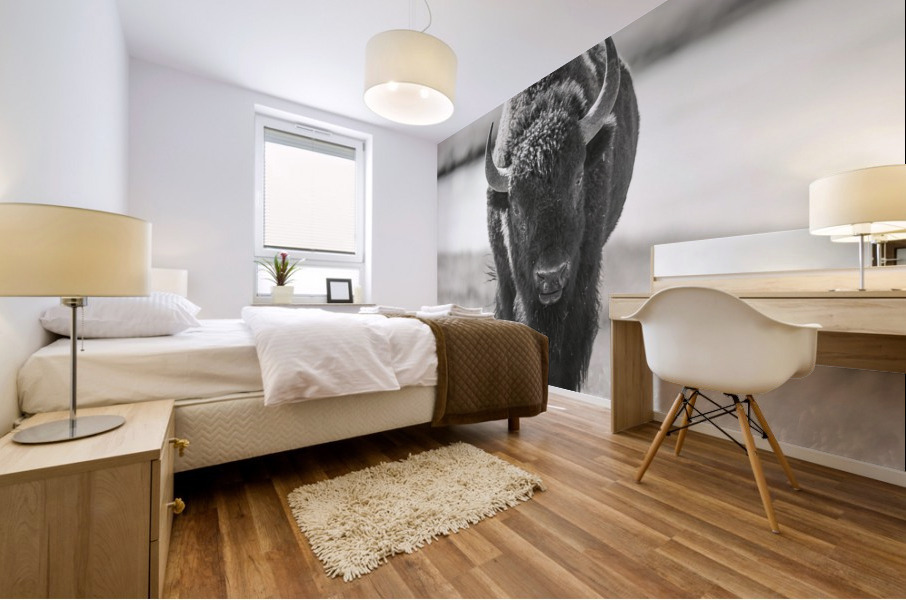 Bison B&W Mural print