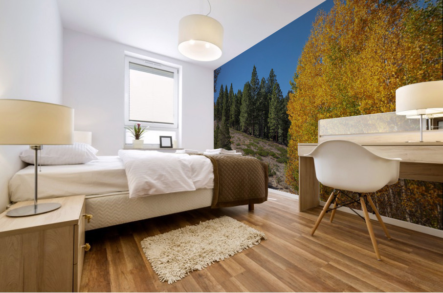 Aspen Photobomb Mural print