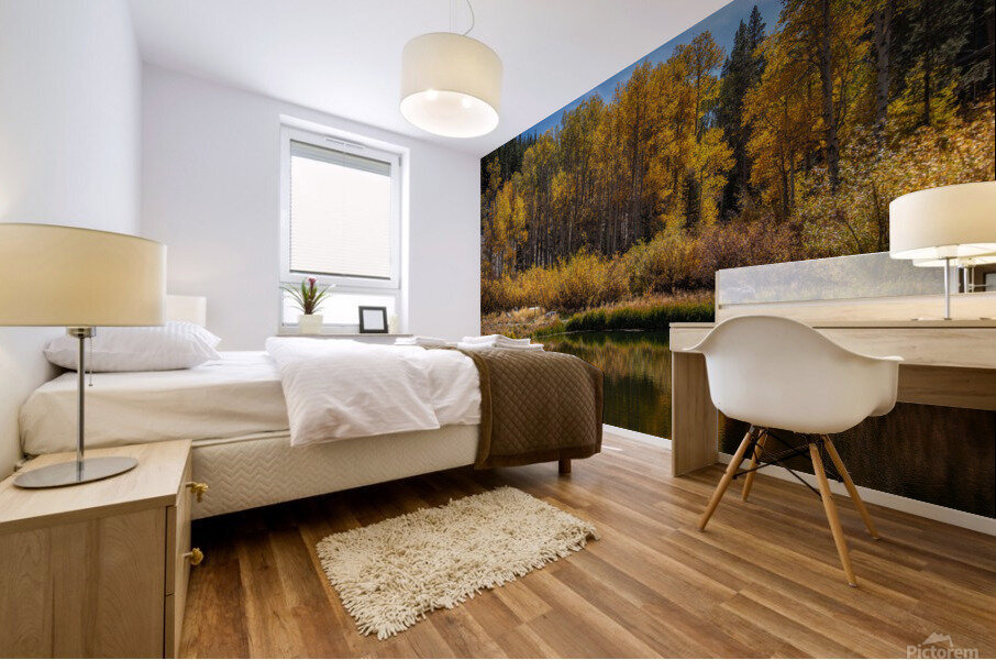 Reflecting Aspens Mural print