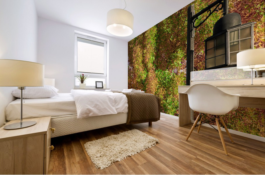 Light and Color Mural print