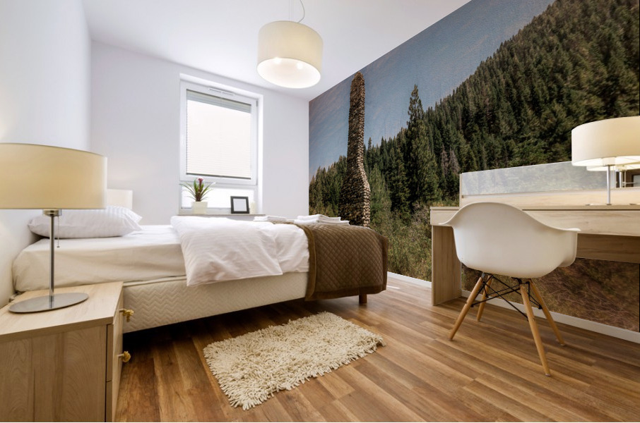 Lost Cabin Mural print
