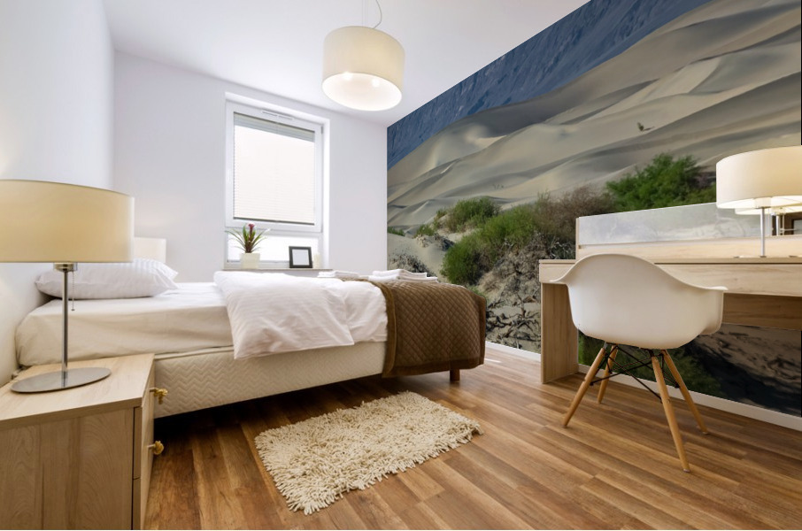 Death Valley Dunes Mural print