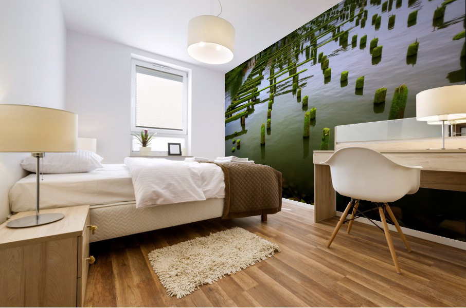 Dock in Decay Mural print